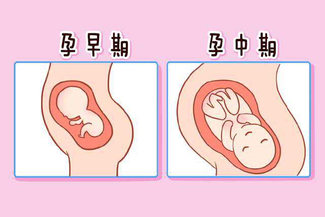 北京子宫肌瘤可以上环吗？北京供卵借卵试管捐卵试管男孩机构